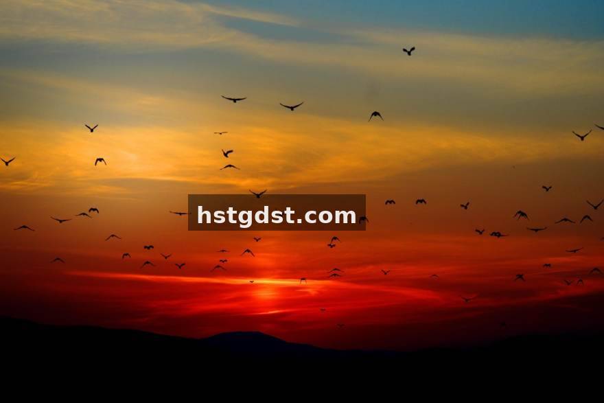 伟德体育 读懂篮球进阶数据：从回合占有率到真实命中率的使用说明